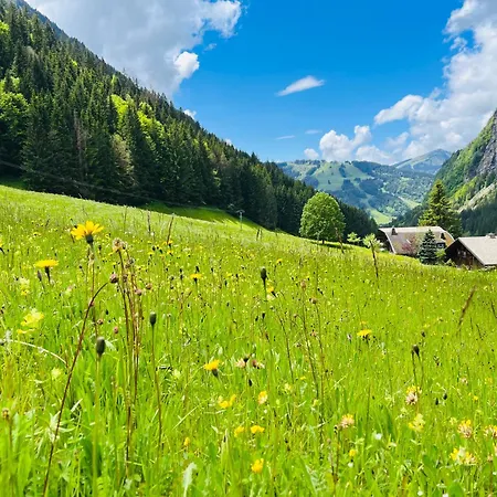 Chalet Tavernier *
